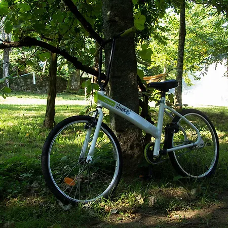 Laranjalimao 게스트하우스 Freixo (Norte)