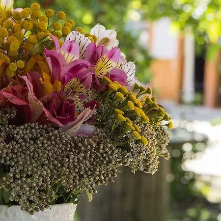 게스트하우스 Laranjalimao