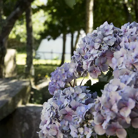Laranjalimao Freixo (Norte)