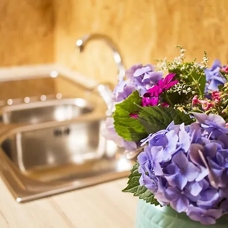 Laranjalimao Pensjonat Freixo (Norte)