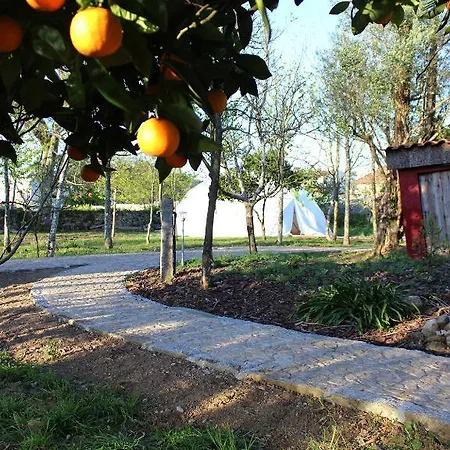 Laranjalimao Freixo (Norte)