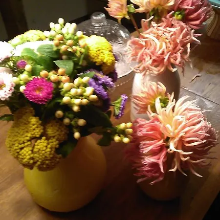 Laranjalimao Freixo (Norte)