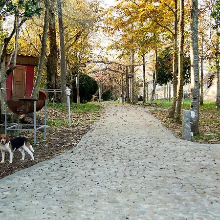 Laranjalimao Maison d'hôtes Freixo (Norte)