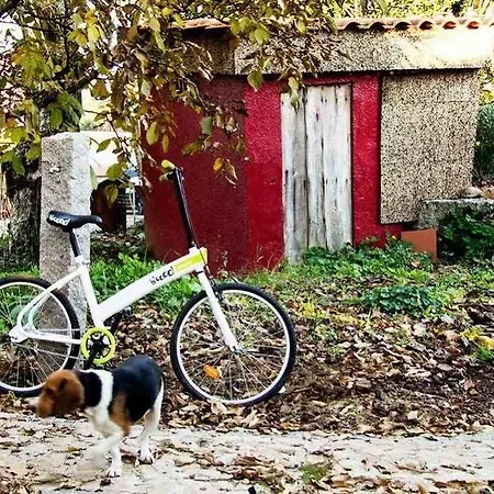 Maison d'hôtes Laranjalimao 4*