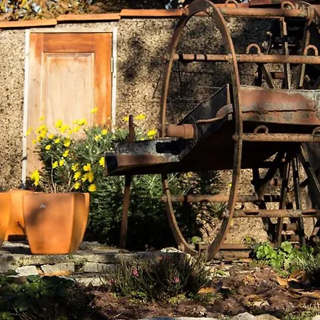 게스트하우스 Laranjalimao