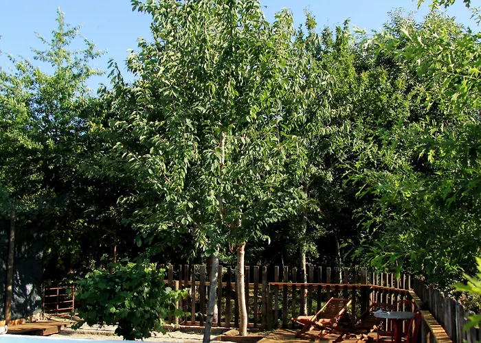 Laranjalimao Pensjonat 4*