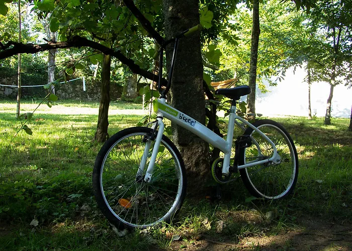 Laranjalimao Pensjonat Freixo (Norte)