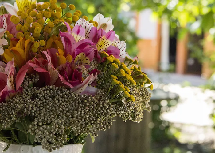 Casa de hóspedes Laranjalimão