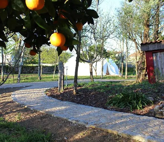 Laranjalimao Freixo (Norte)