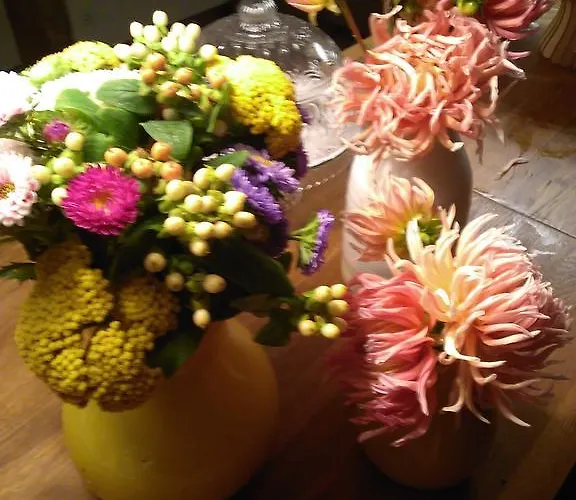 Laranjalimão Freixo (Norte)