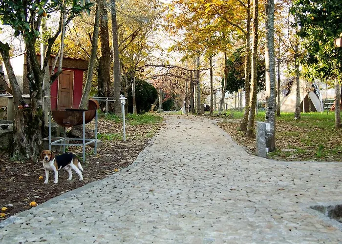 Laranjalimao Pensjonat Freixo (Norte)