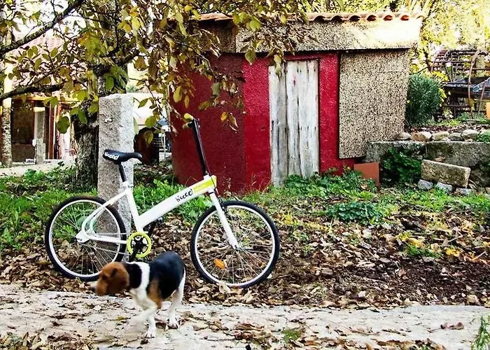 Pensjonat Laranjalimao 4*